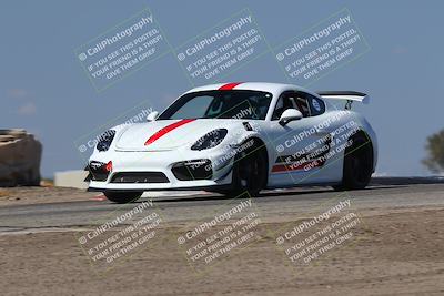 media/Oct-04-2025-OnGrid (Sat) [[44bd565ffa]]/Green Group/Grapevine/